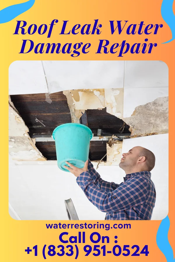 Roof Leak Water Damage Repair in Harrisburg, SD